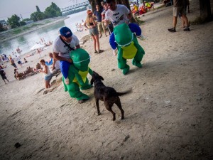 Maxime et son déguisement de dinosaure sur les rives du Danube- Août 2015