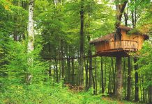 Dormir dans une cabane perchée : quelle expérience choisir ?