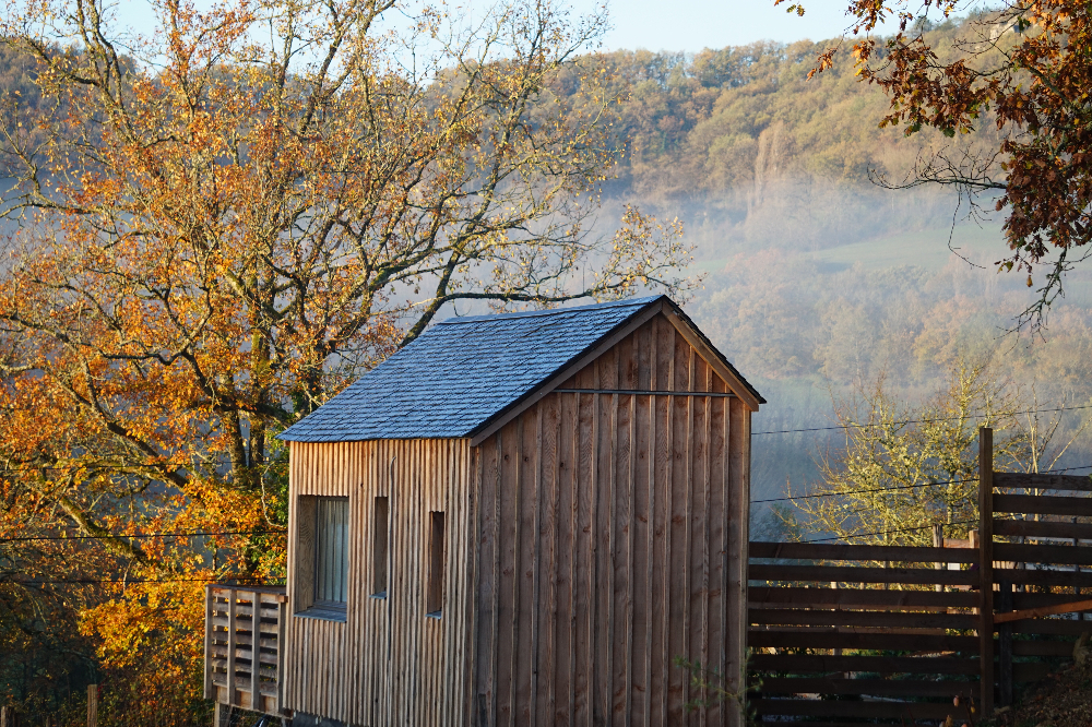 tiny house à la belle ecorce aux couleurs d'automne