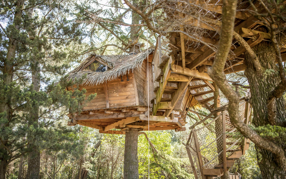 Une cabane tout confort suspendue aux arbres