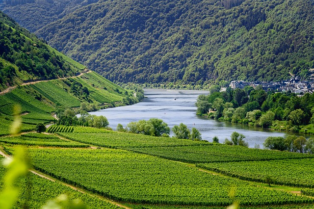 Paysage champêtre idéal pour des vacances à la campagne
