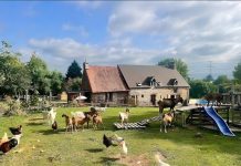 Où partir pour Pâques en famille en France : nos adresses pour un week-end inoubliable Hébergement insolite à la ferme