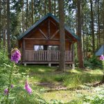 Cabane Versailles