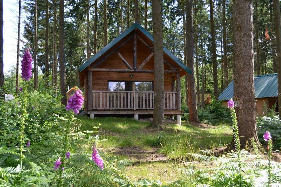 Cabane dans les bois week-end insolite