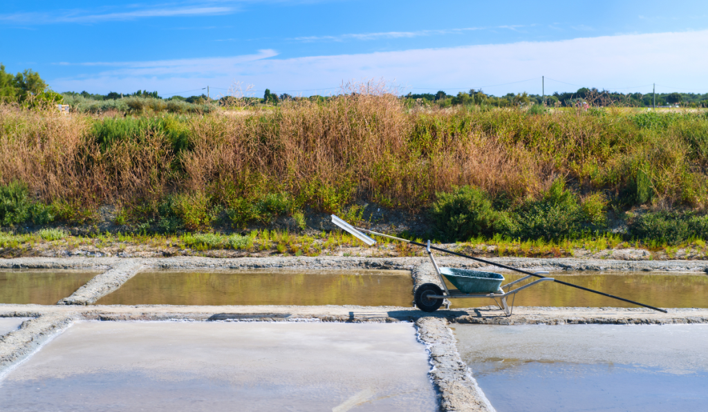 Marais salants